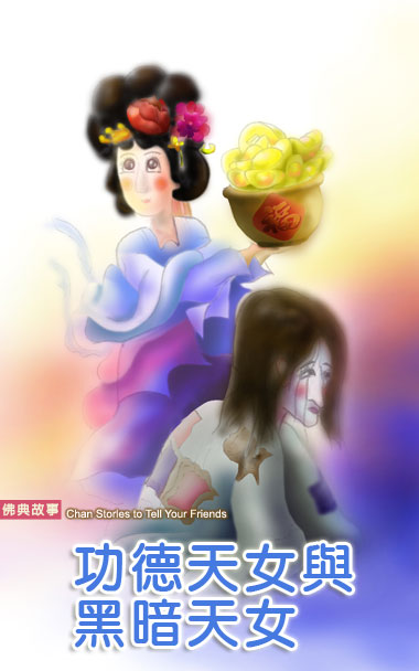 story664
